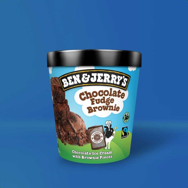 Chocolate Fudge Brownie